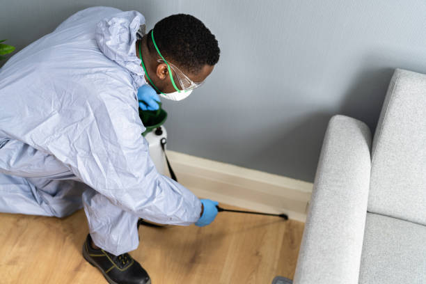 Professional Pest Control in Laguna Niguel, CA